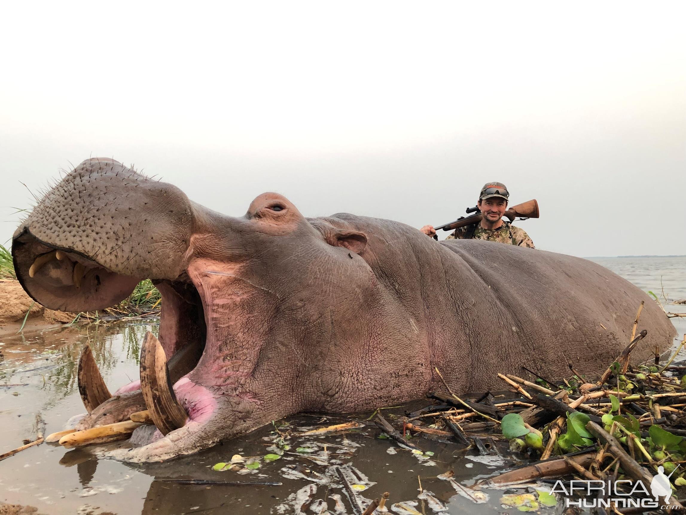 Mozambique Hunting Hippo