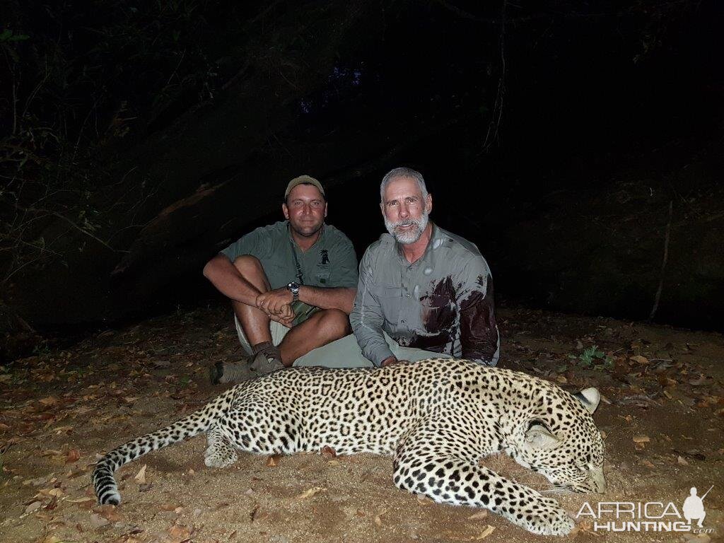 Mozambique Hunting Leopard