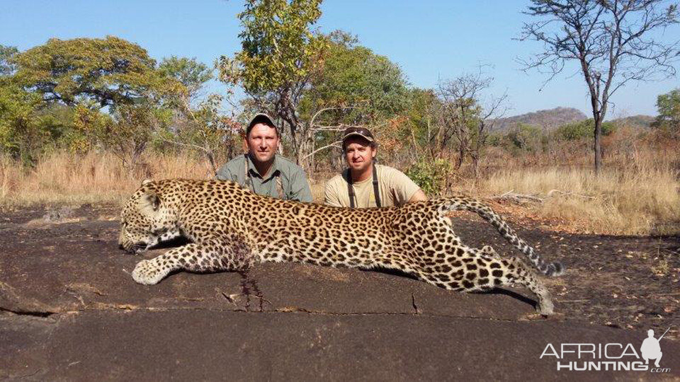 Mozambique Hunting Leopard