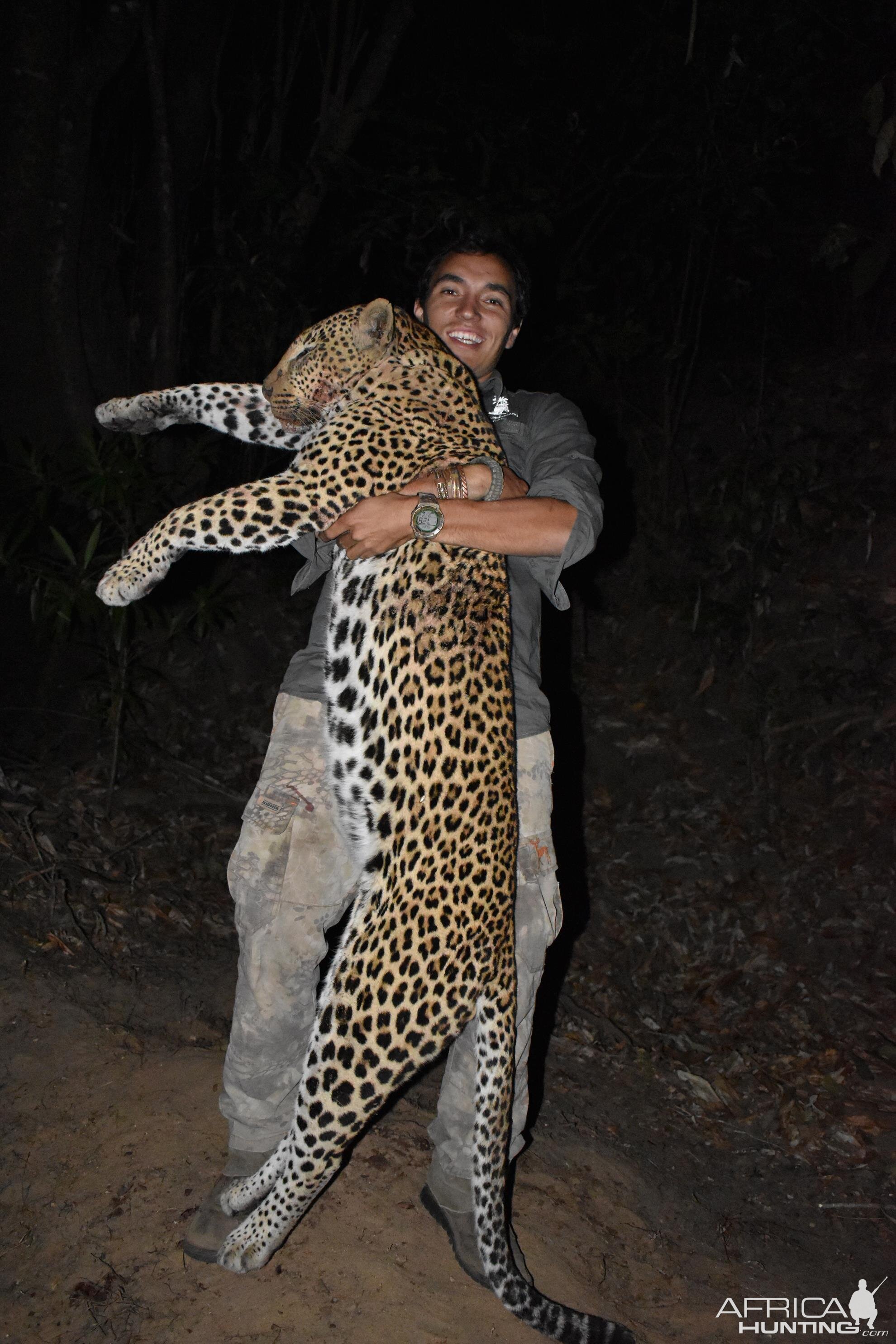 Mozambique Hunting Leopard