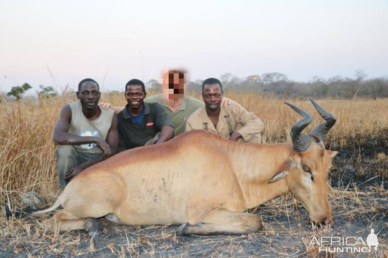 Mozambique Hunting Lichtenstein's Hartebeest