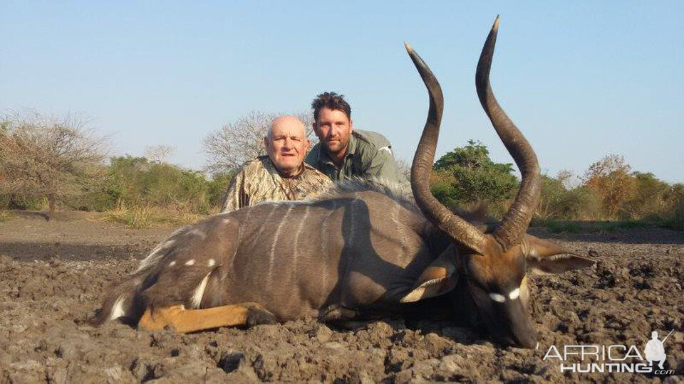 Mozambique Hunting Nyala