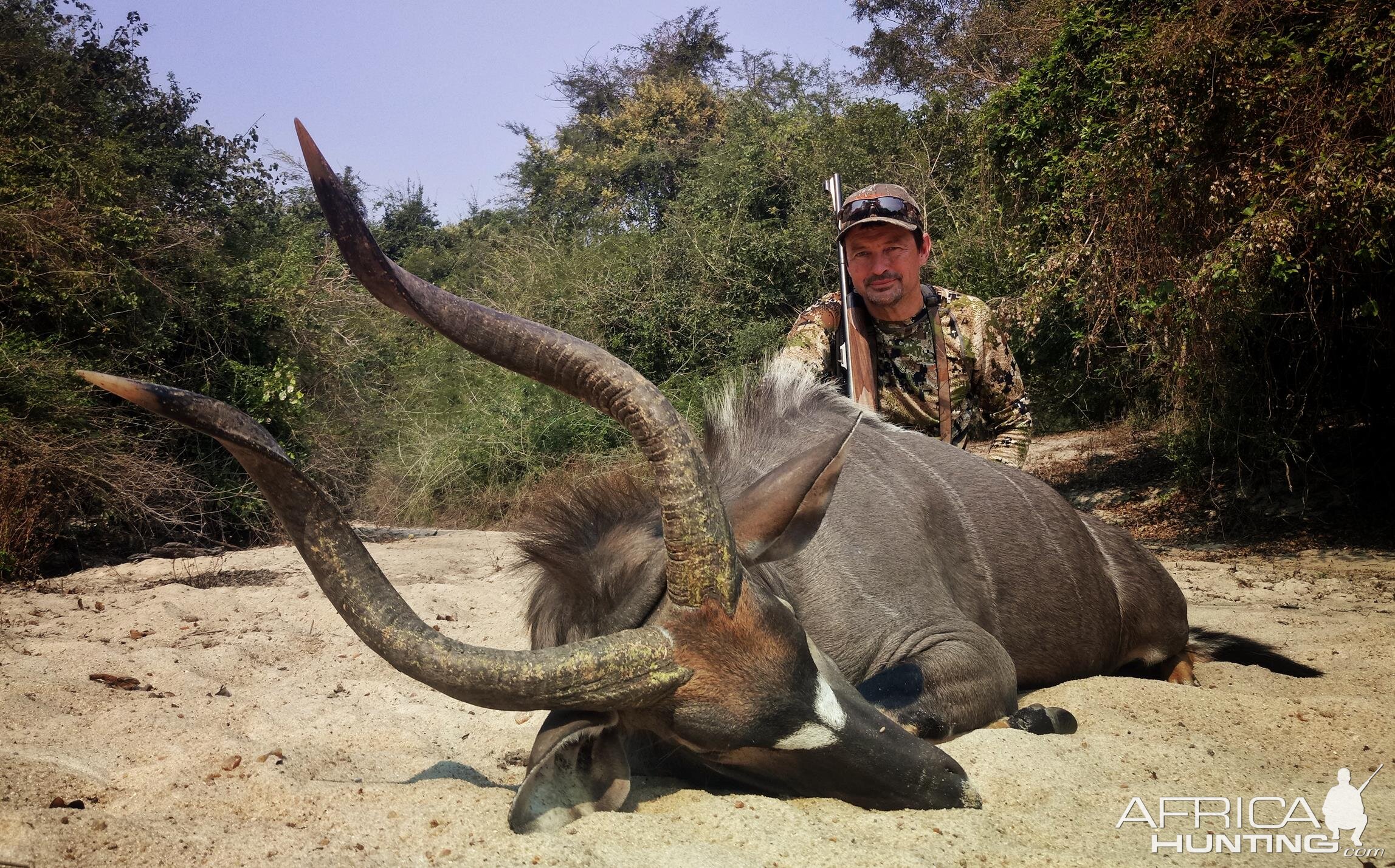 Mozambique Hunting Nyala