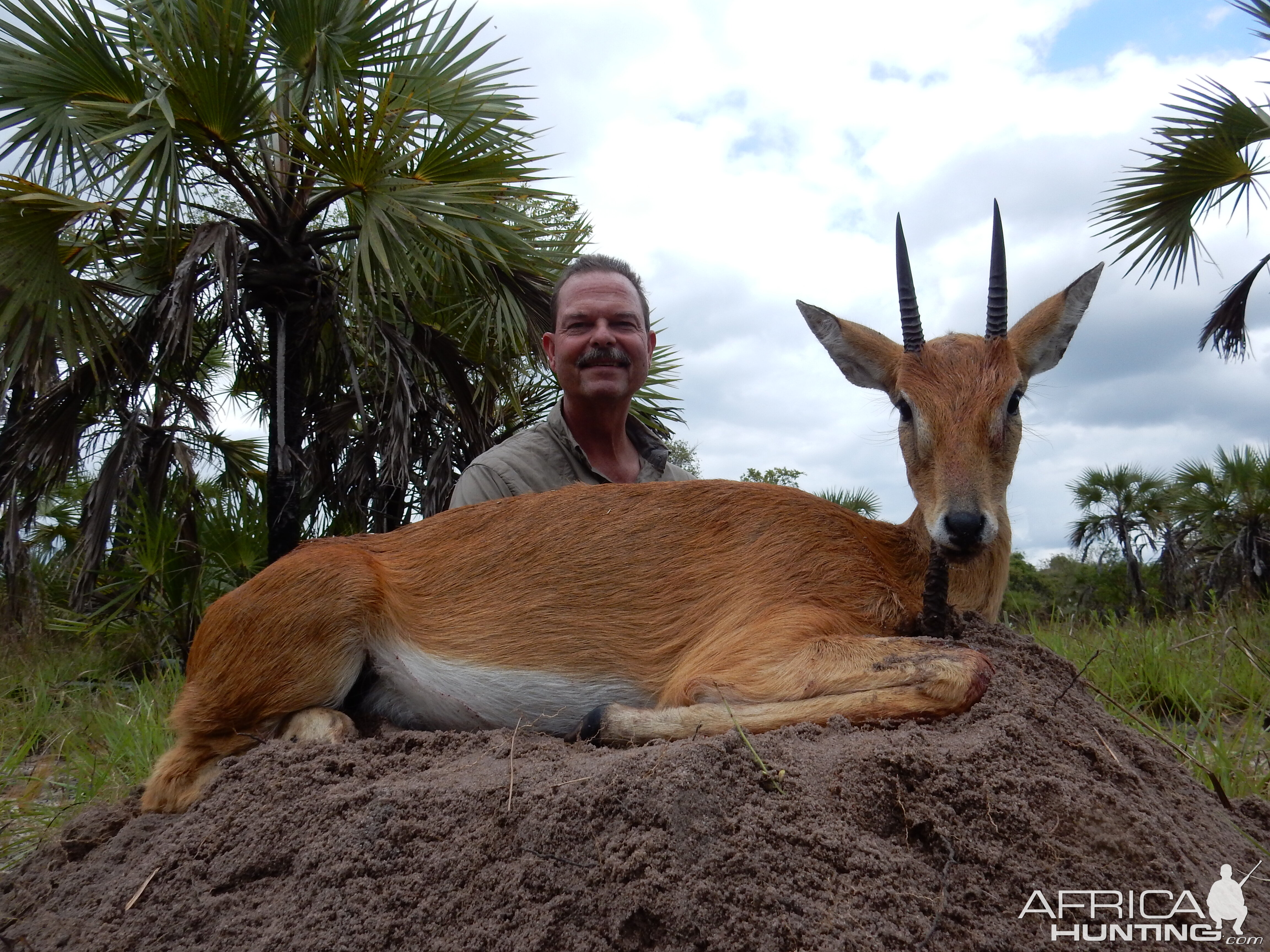 Mozambique Hunting Oribi