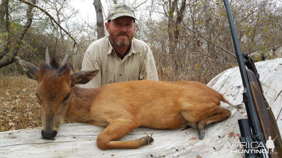 Mozambique Hunting Red Duiker