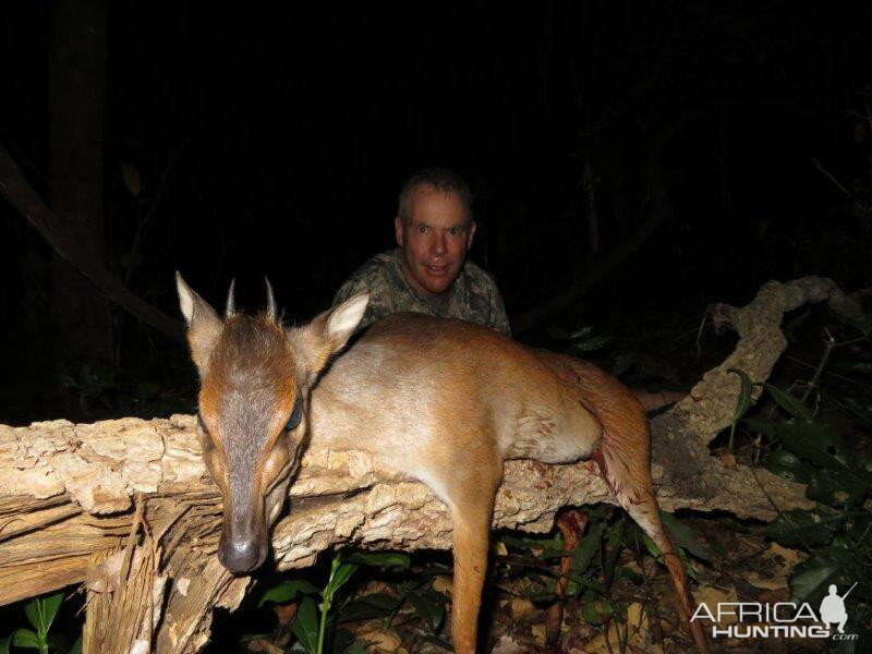 Mozambique Hunting Red Duiker