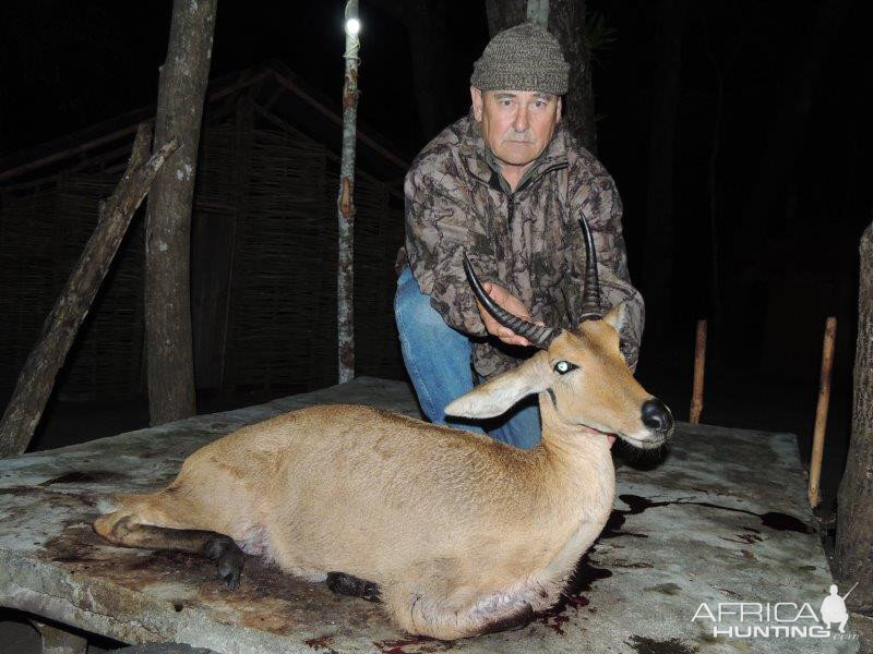 Mozambique Hunting Reedbuck