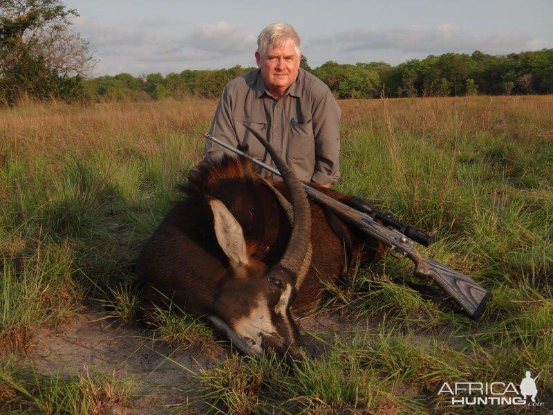 Mozambique Hunting Sable Antelope