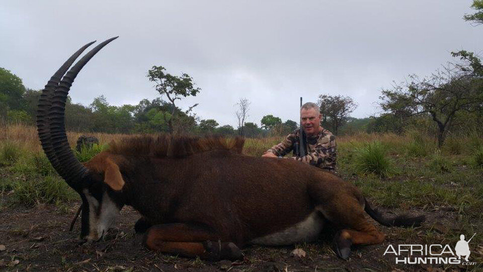 Mozambique Hunting Sable Antelope