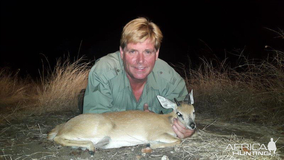 Mozambique Hunting Sharpe's Grysbok