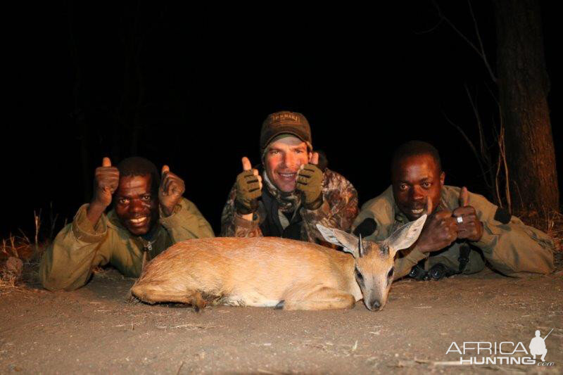 Mozambique Hunting Sharpe's Grysbok