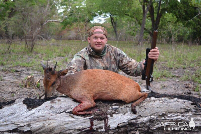 Mozambique Hunting Suni