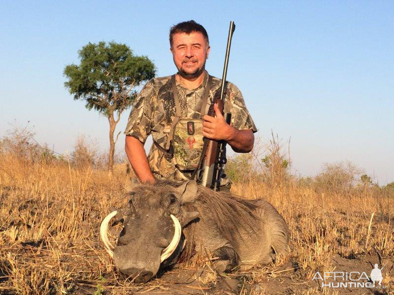 Mozambique Hunting Warthog