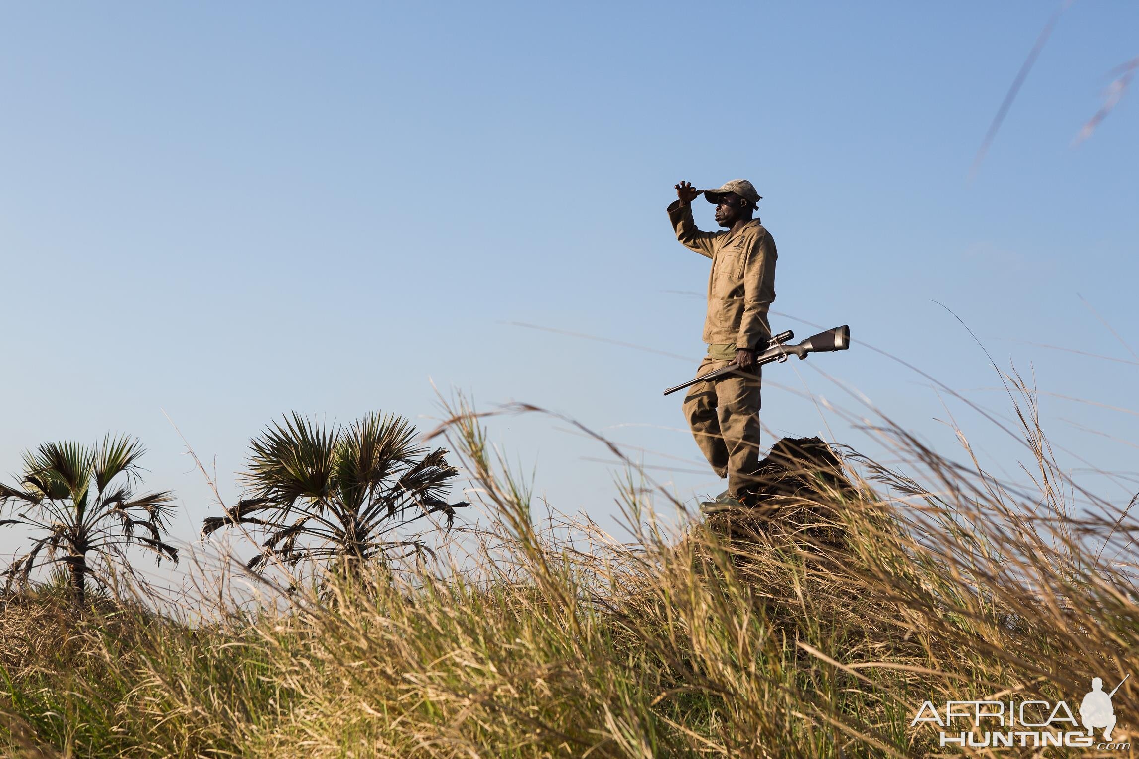 Mozambique Hunting