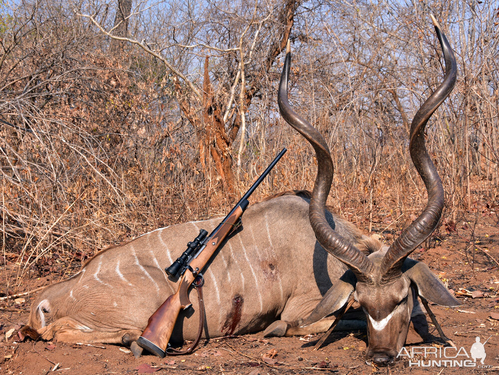 Mozambique Kudu Hunting