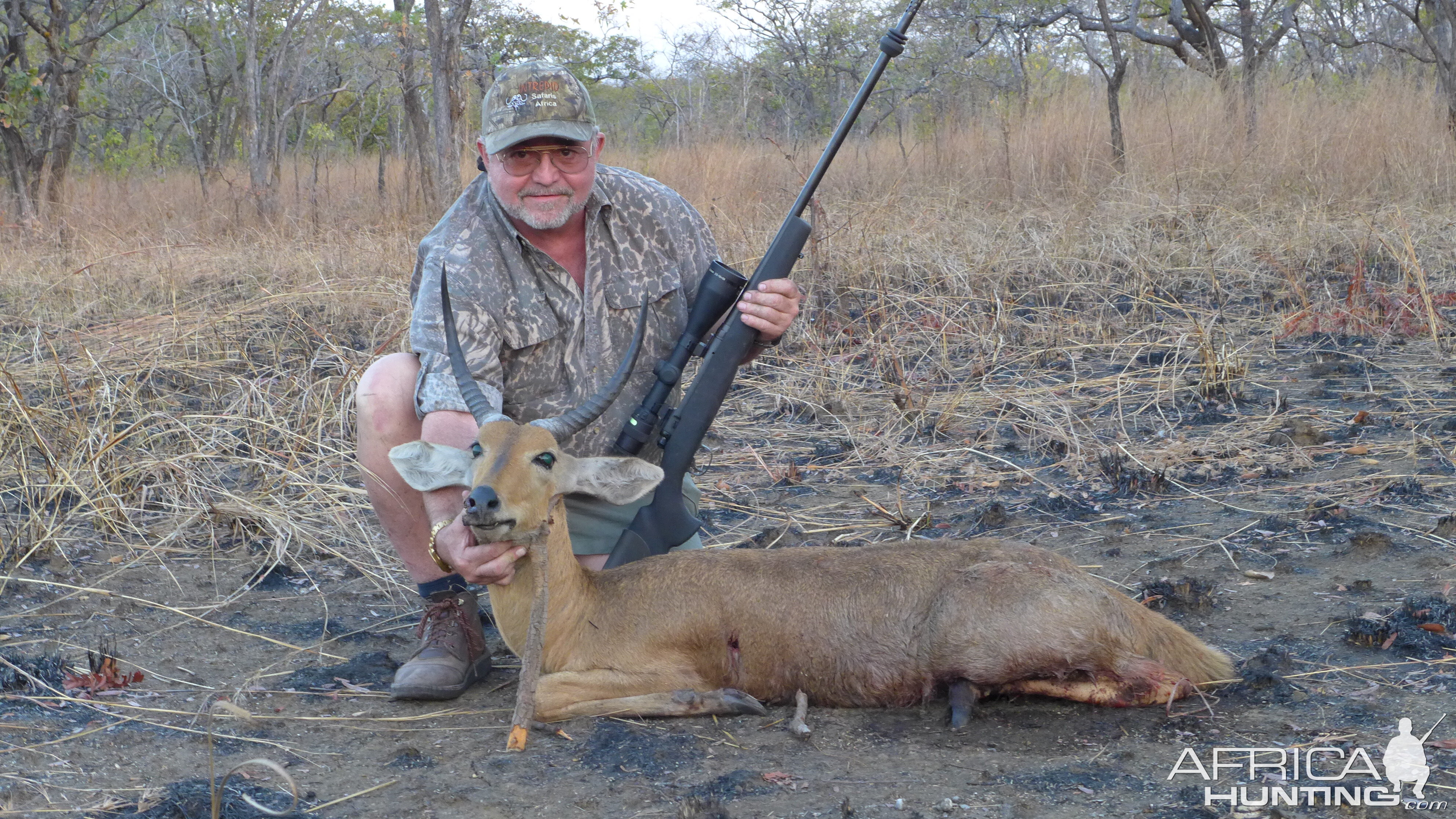 Mozambique Reed buck