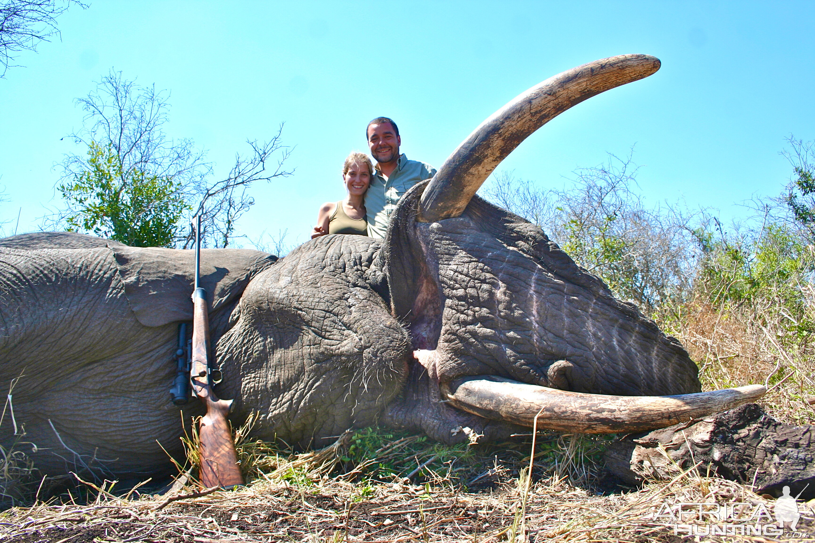 Mpumalanga South Africa Hunting Elephant