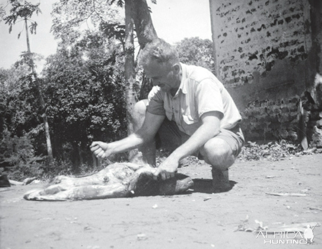 Mr. Pamuk Chowdhury field dressing the Porcupine