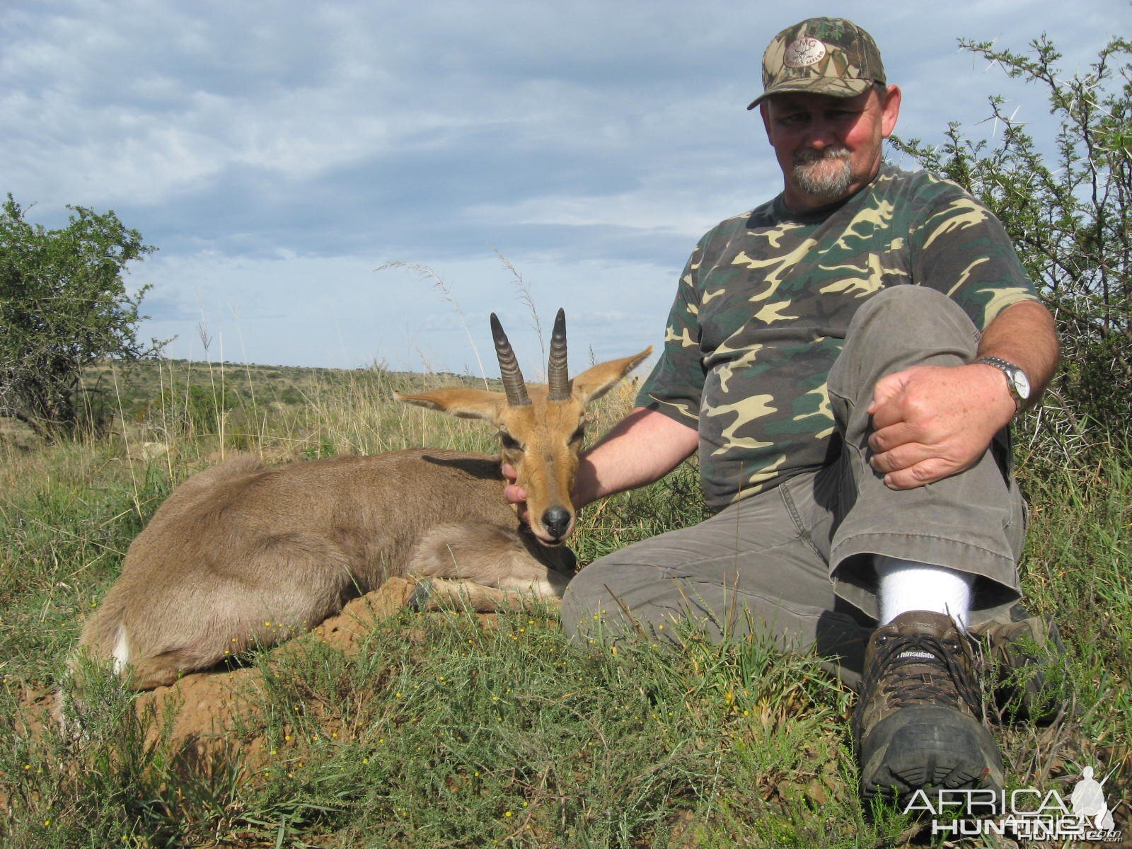 Mt. Reed Buck