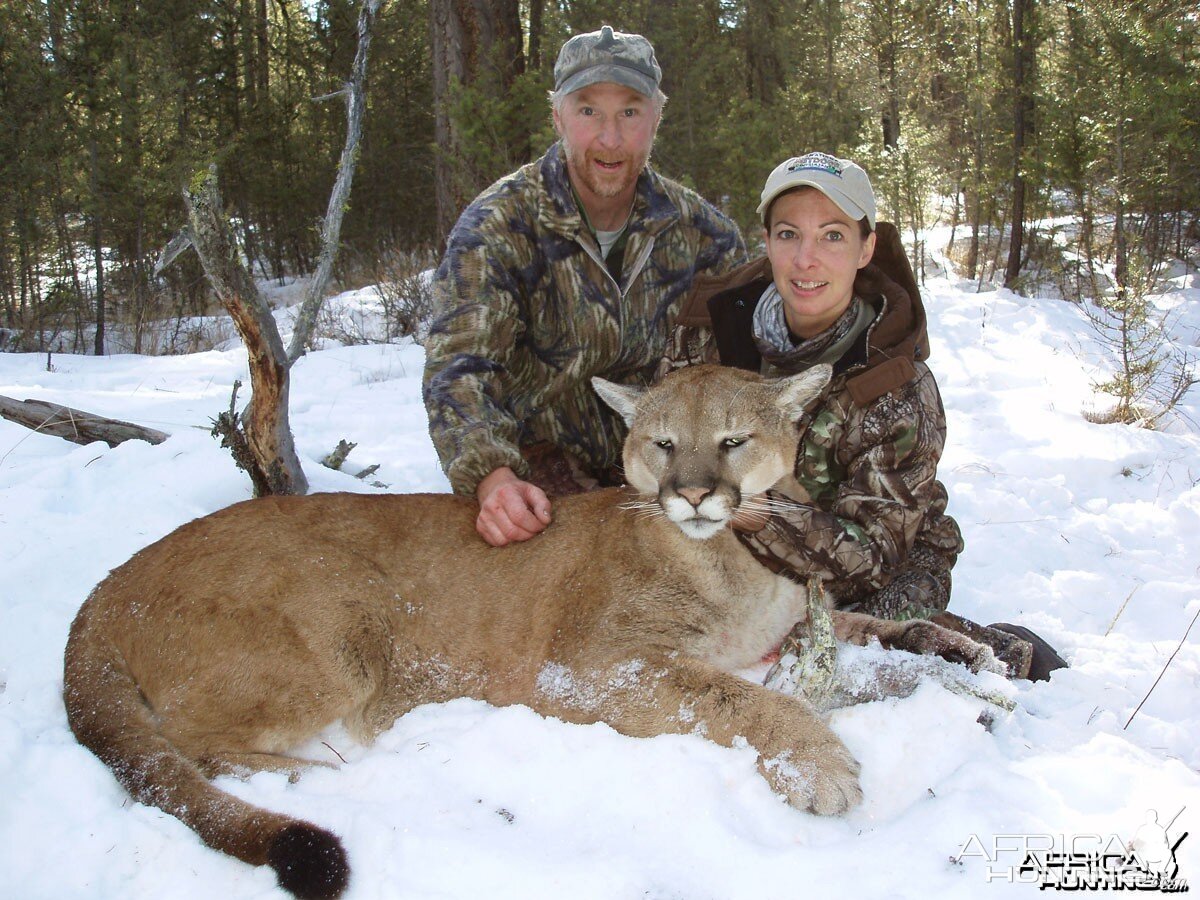 Mtn. Lion '06 - B.C.