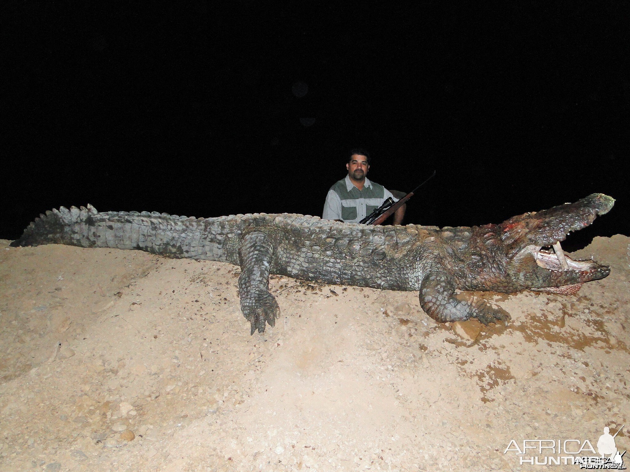 mugger/indus crocodile 14 feet