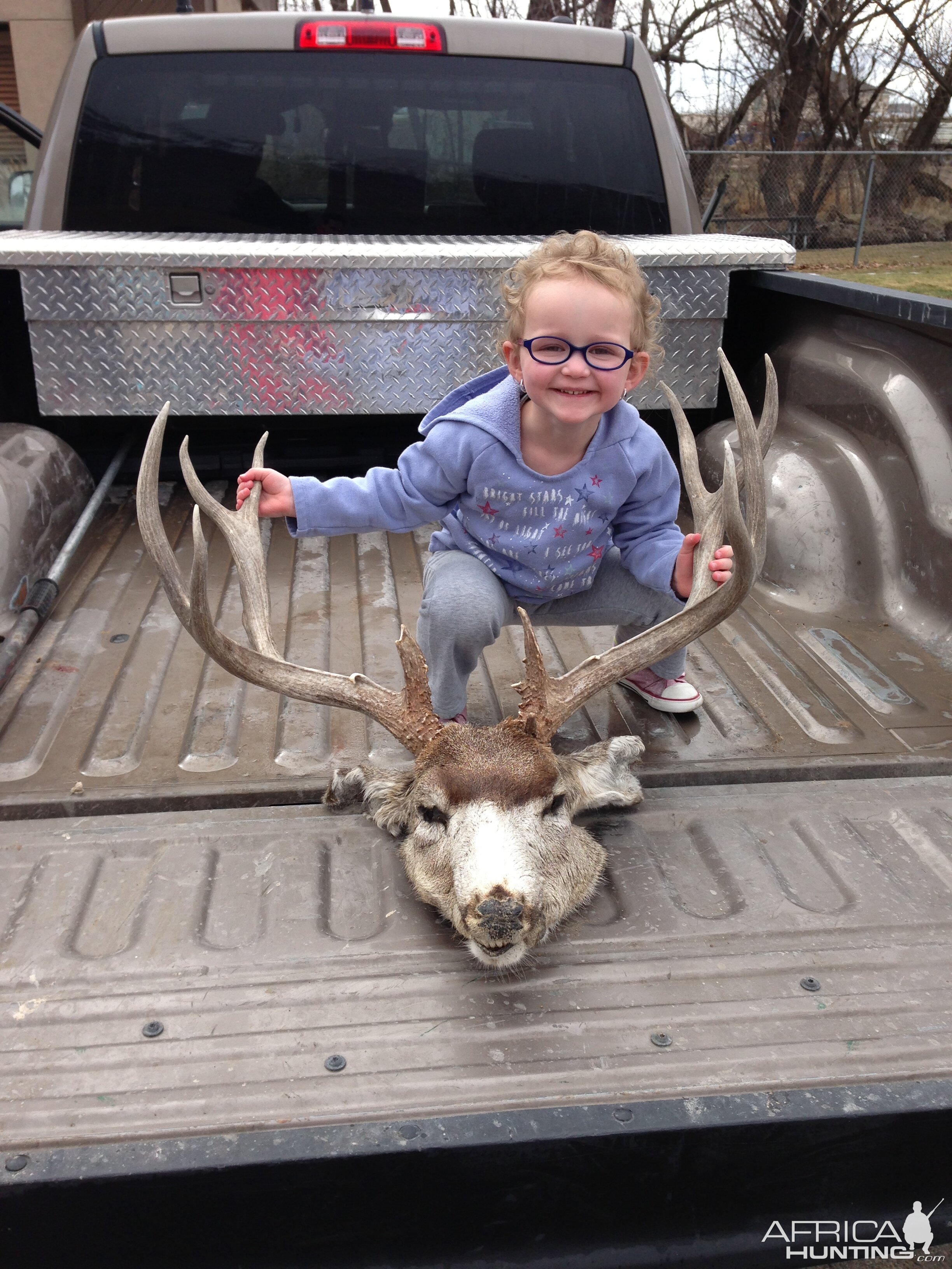 Mule Deer being Poached