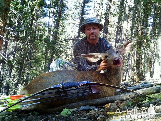 Mule Deer Bowhunt