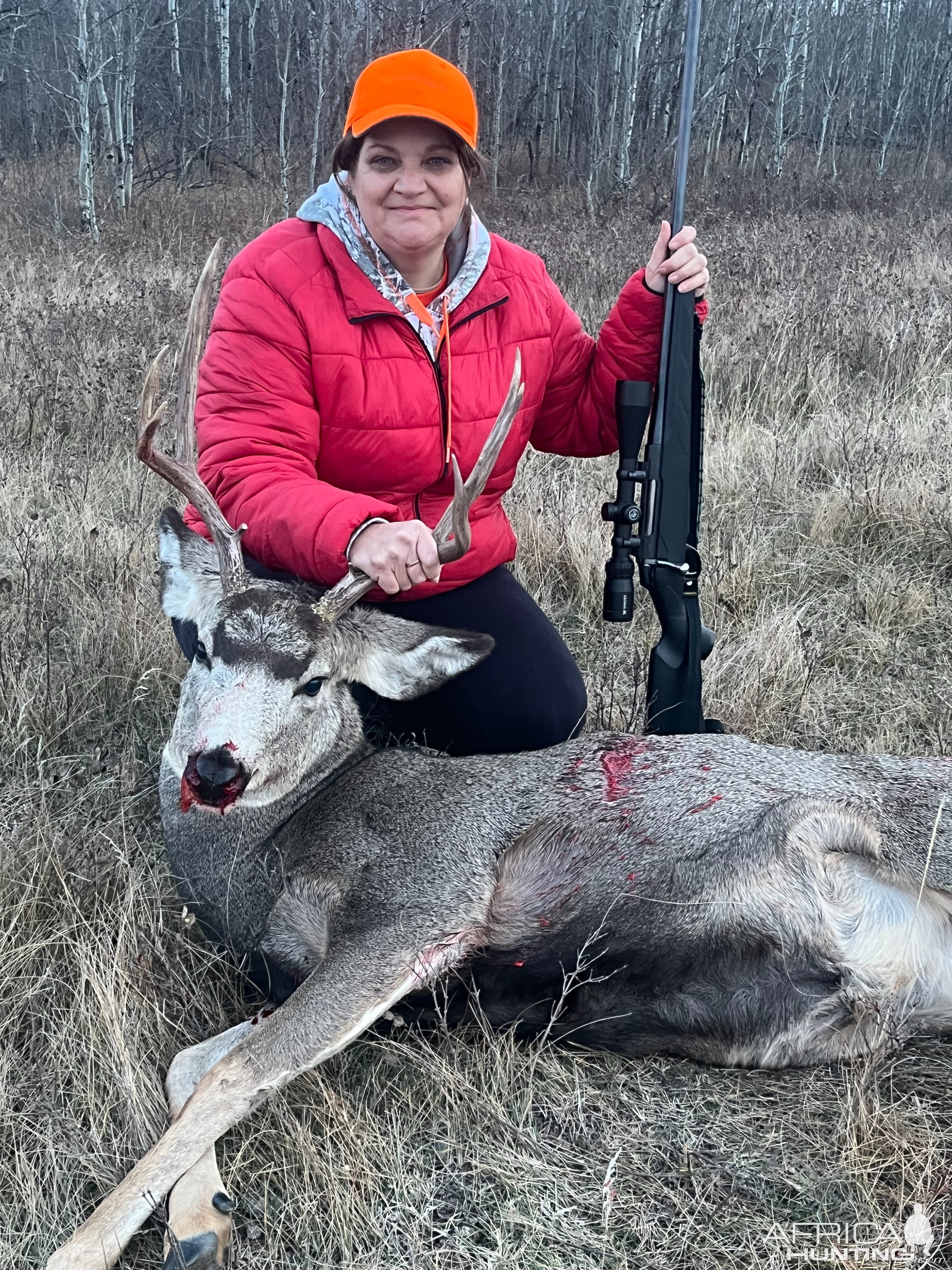 Mule Deer Hunt Canada