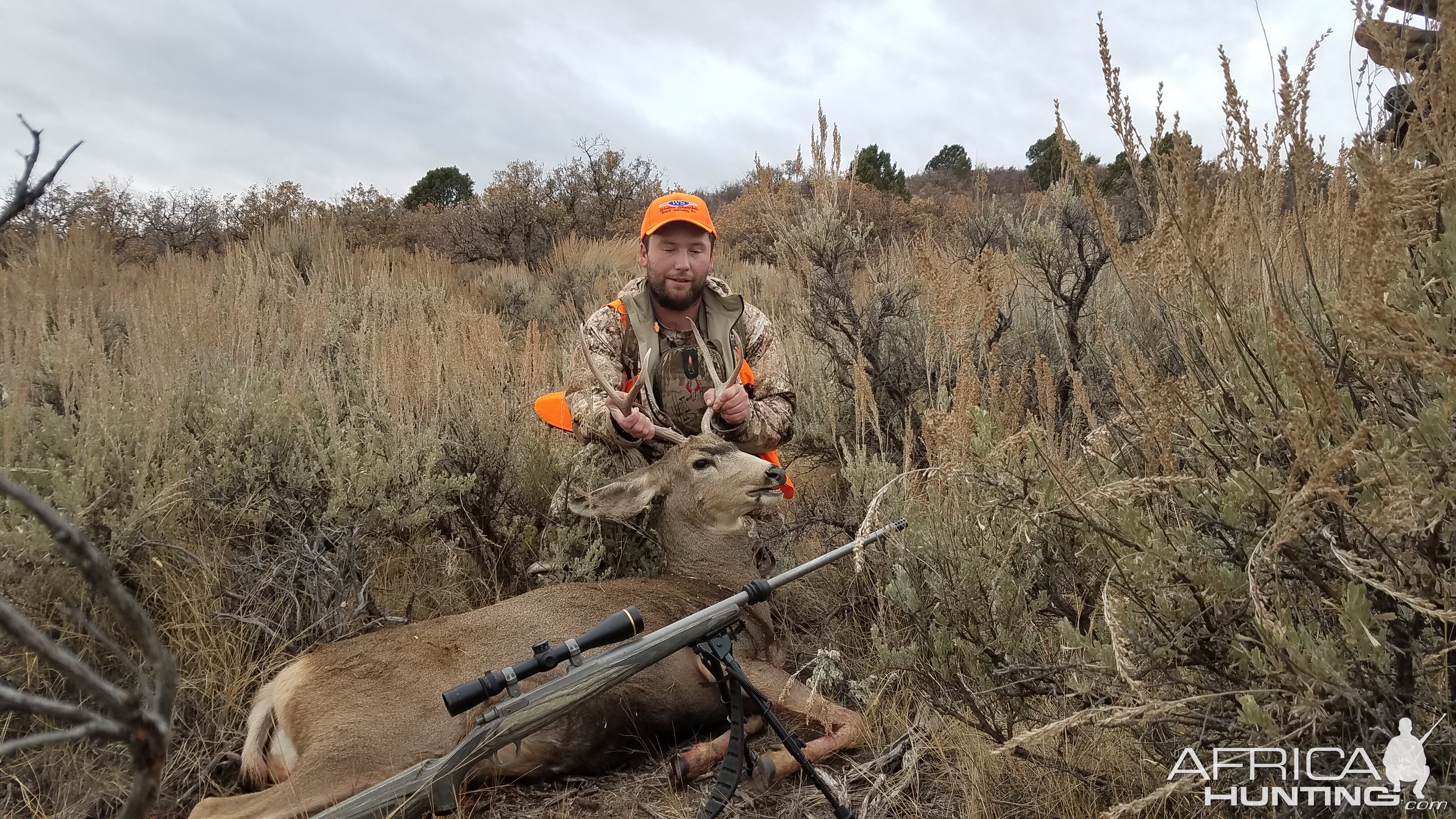 Mule Deer Hunt Colorado USA