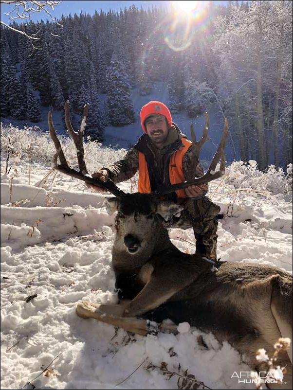 Mule Deer Hunt Colorado