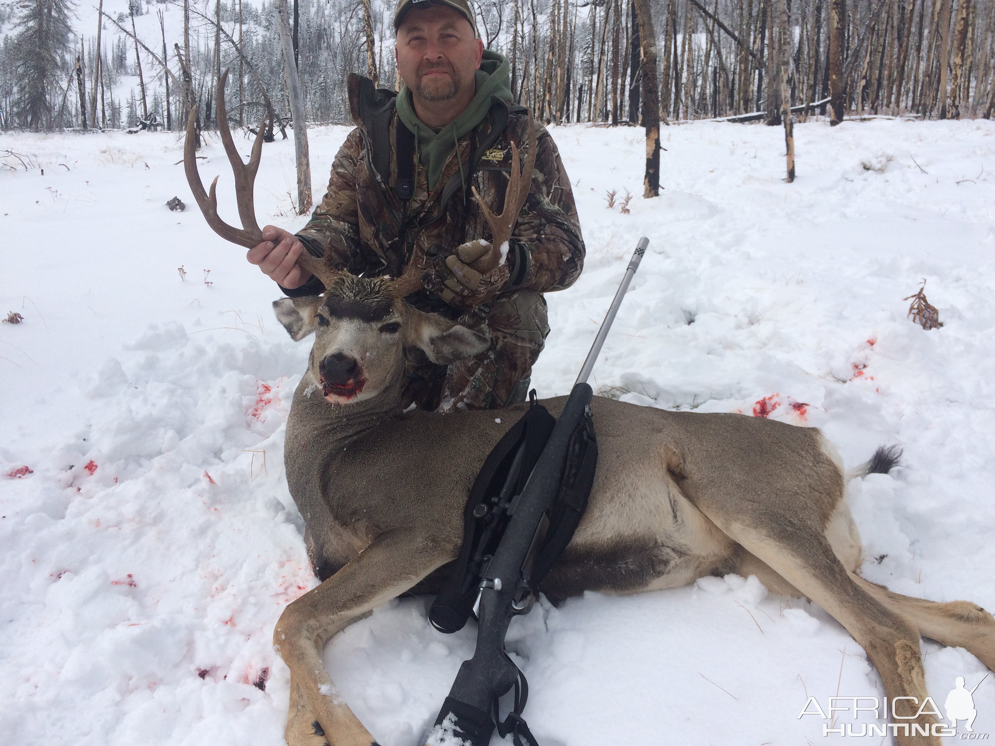 Mule Deer Hunt Idaho