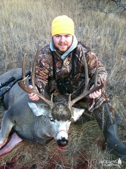 Mule Deer Hunt NE Wyoming