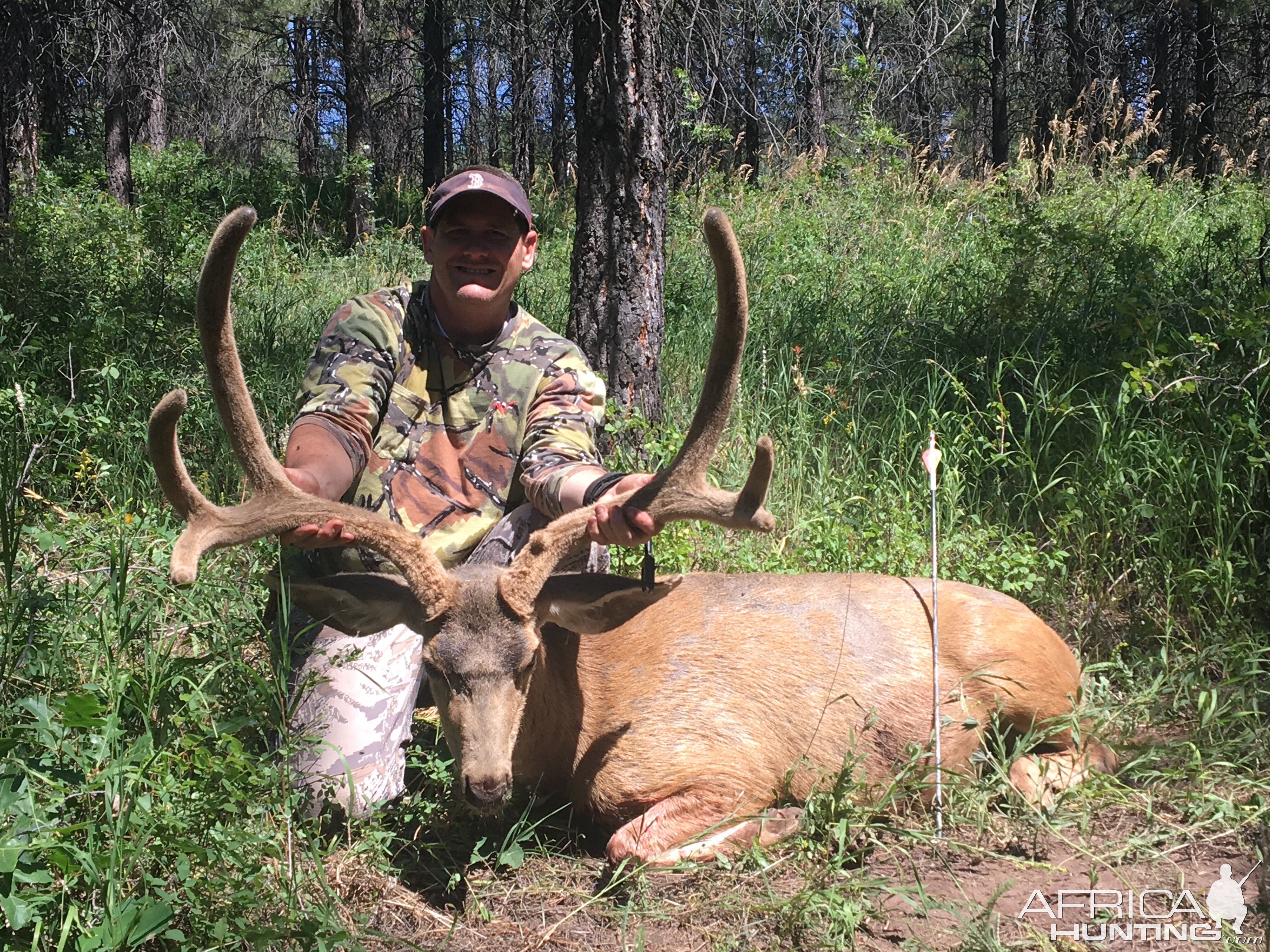 Mule Deer Hunt Utah USA