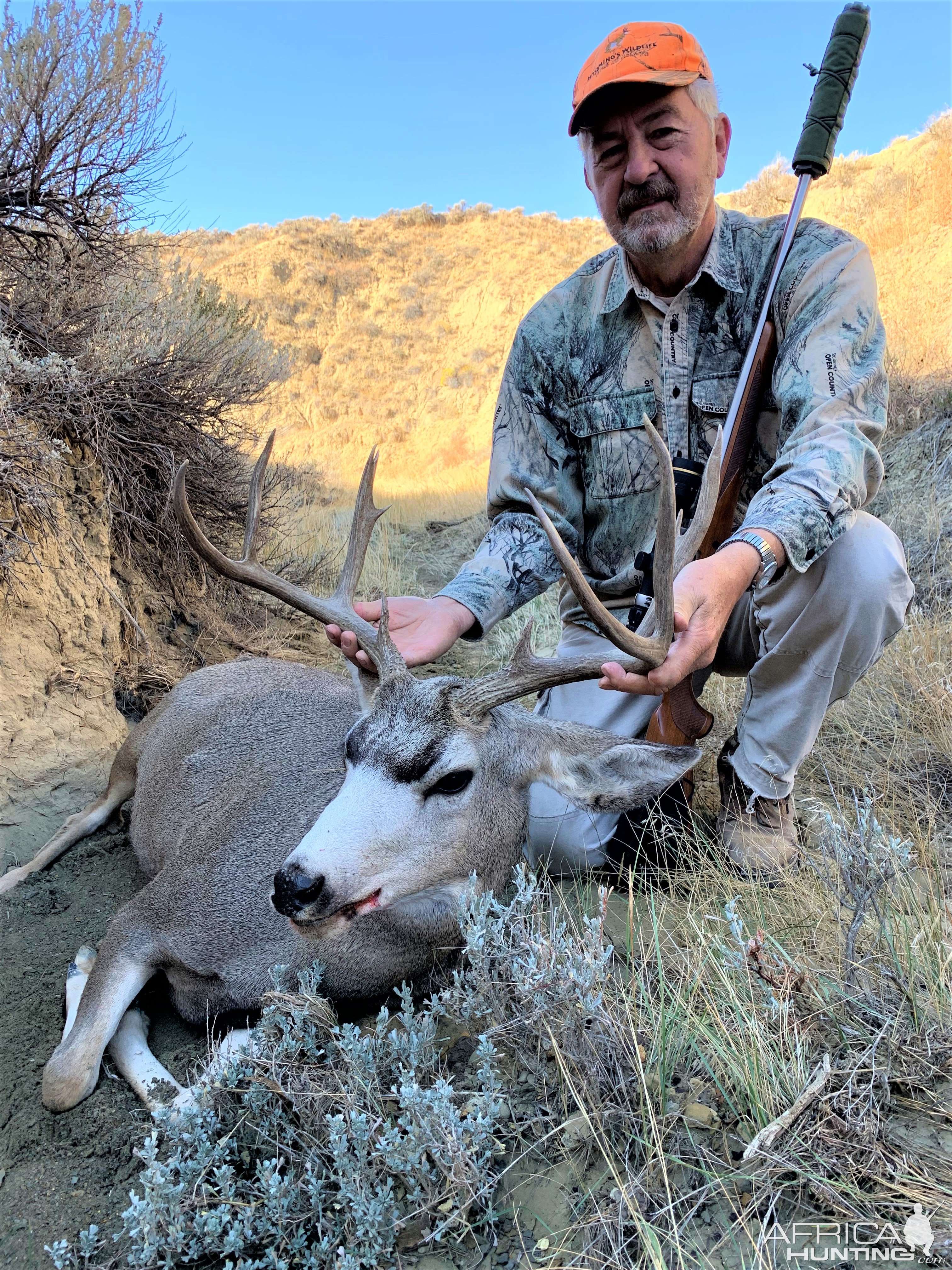 Mule Deer Hunt