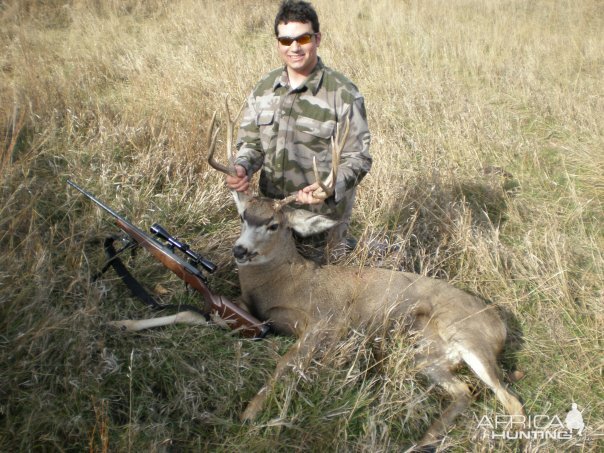 Mule Deer Hunt