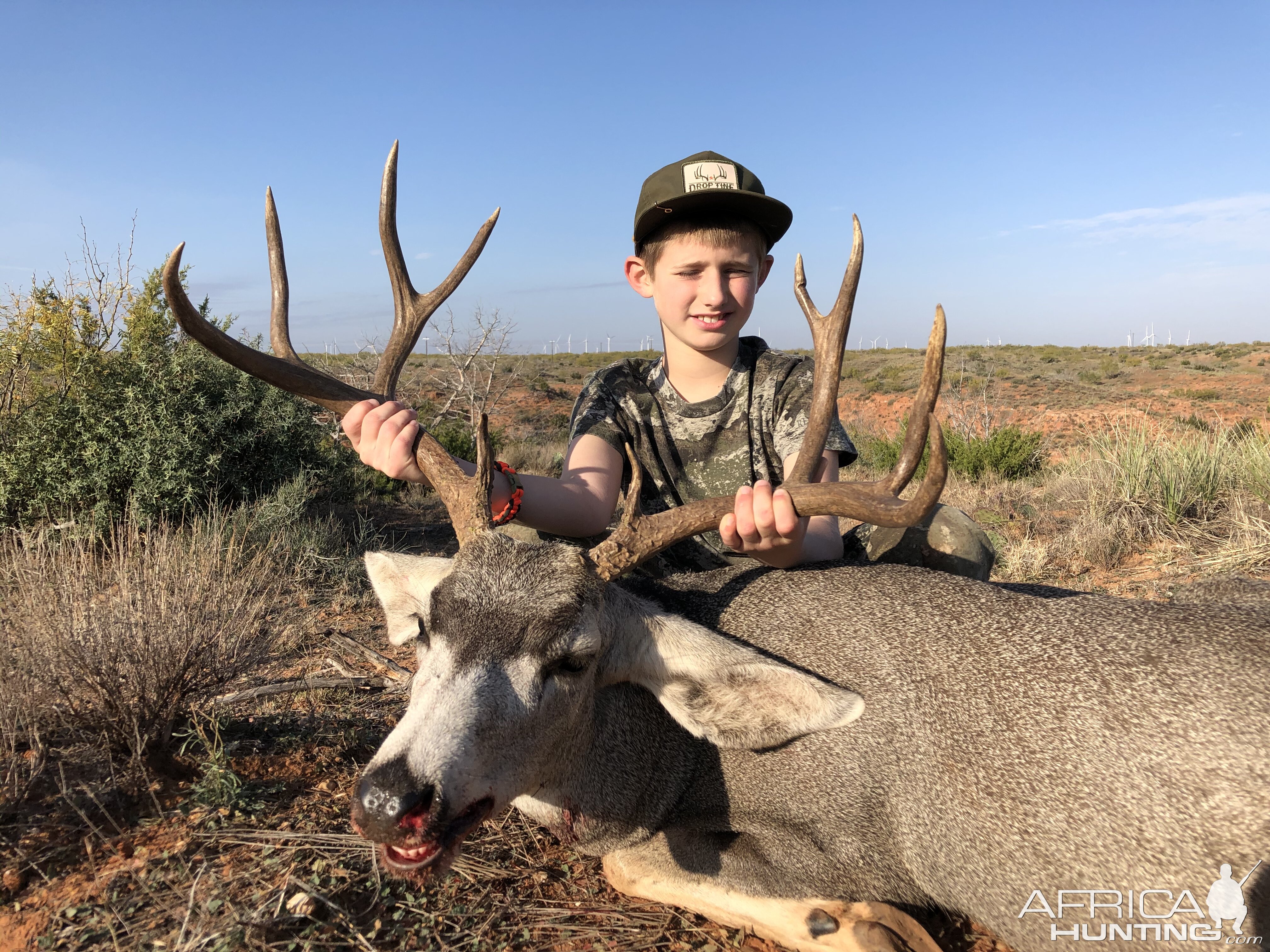 Mule Deer Hunting Texas USA