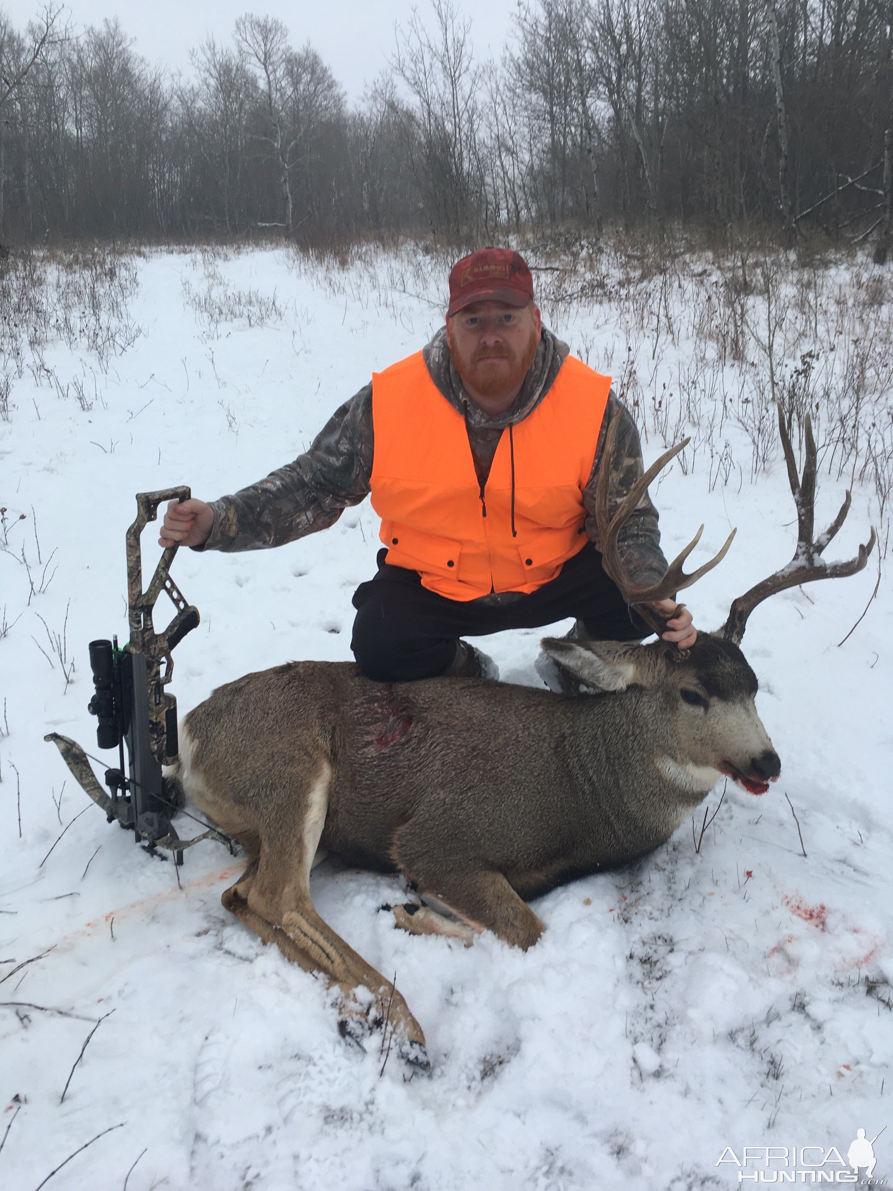 Mule Deer Hunting