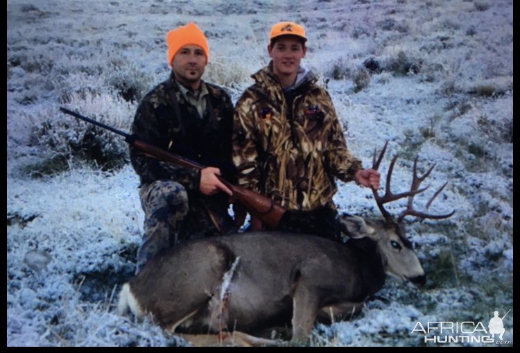 Mule Deer Hunting