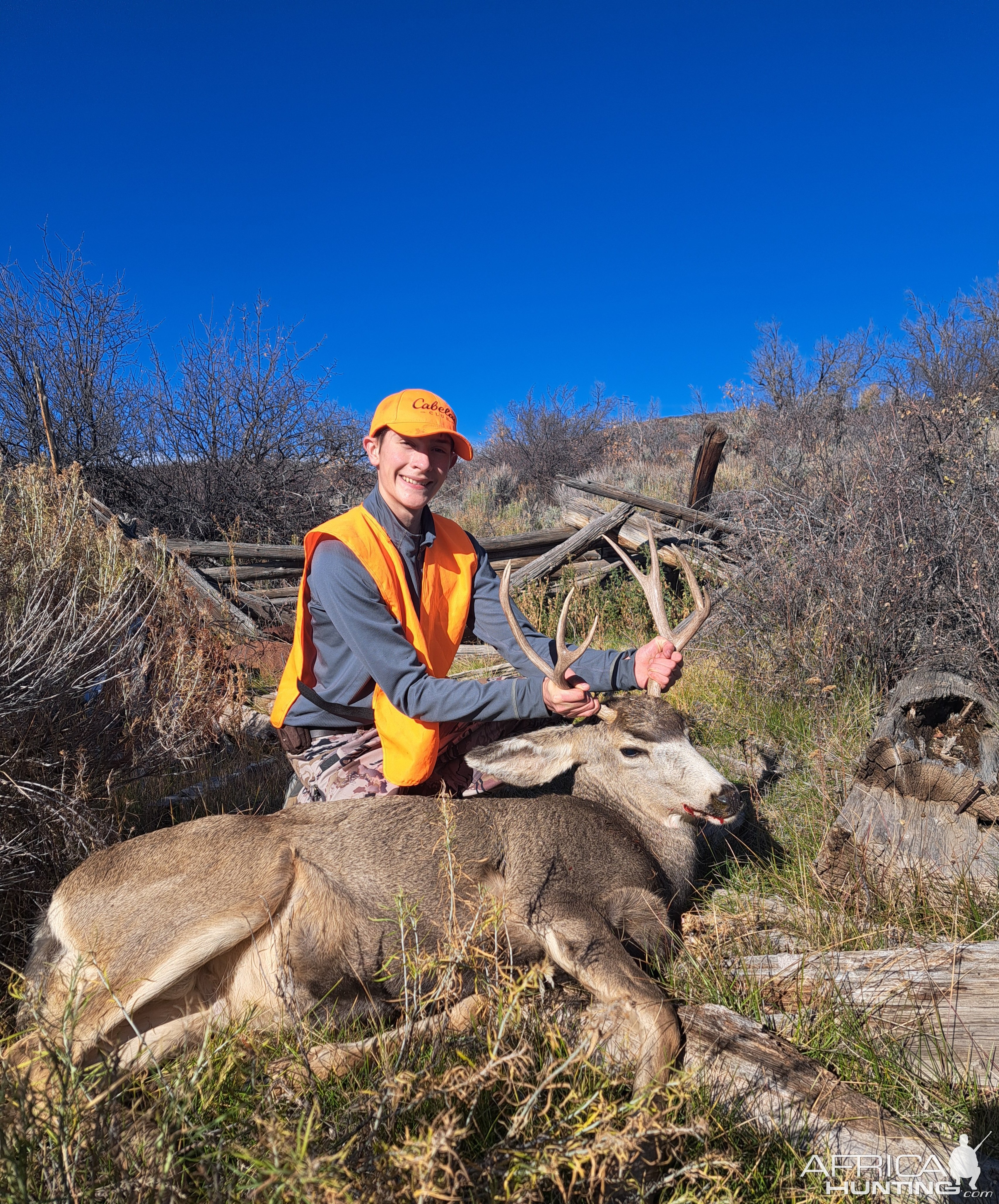 Mule Deer Hunting