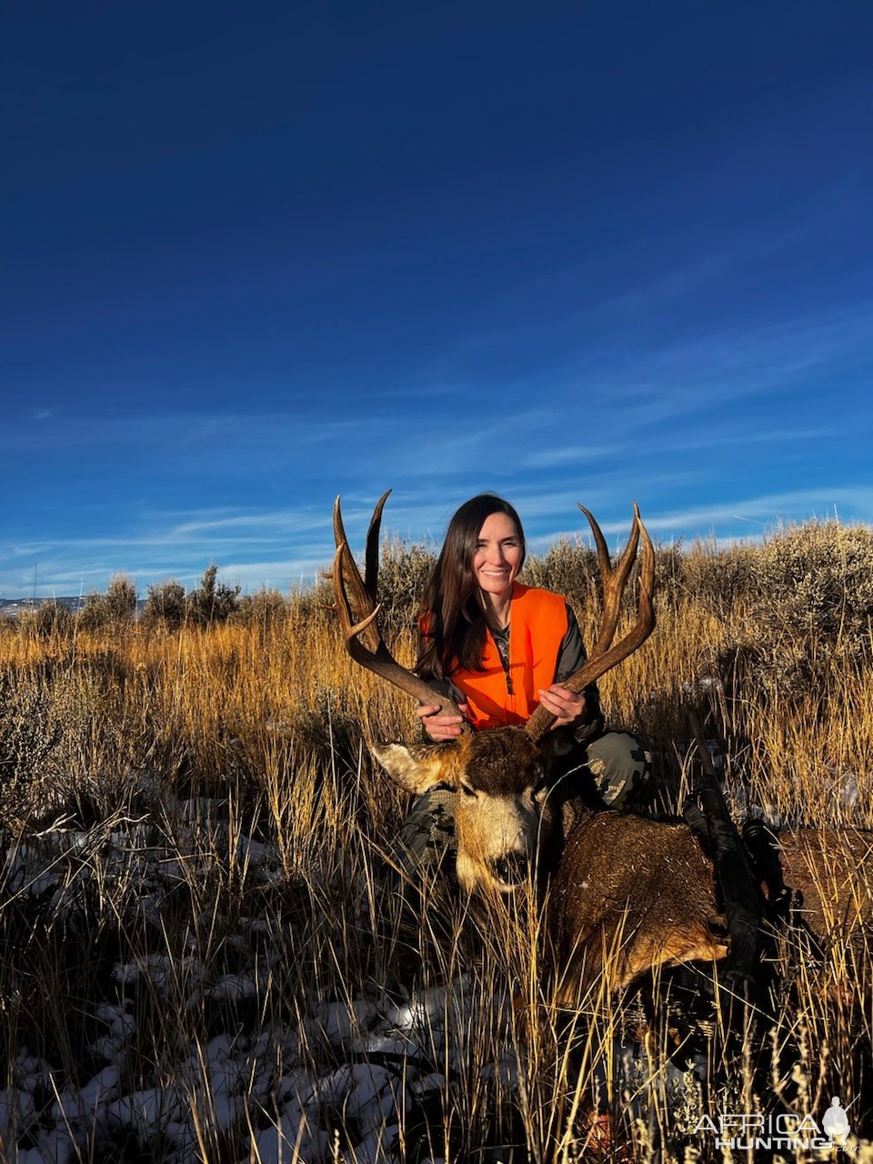 Mule Deer Hunting