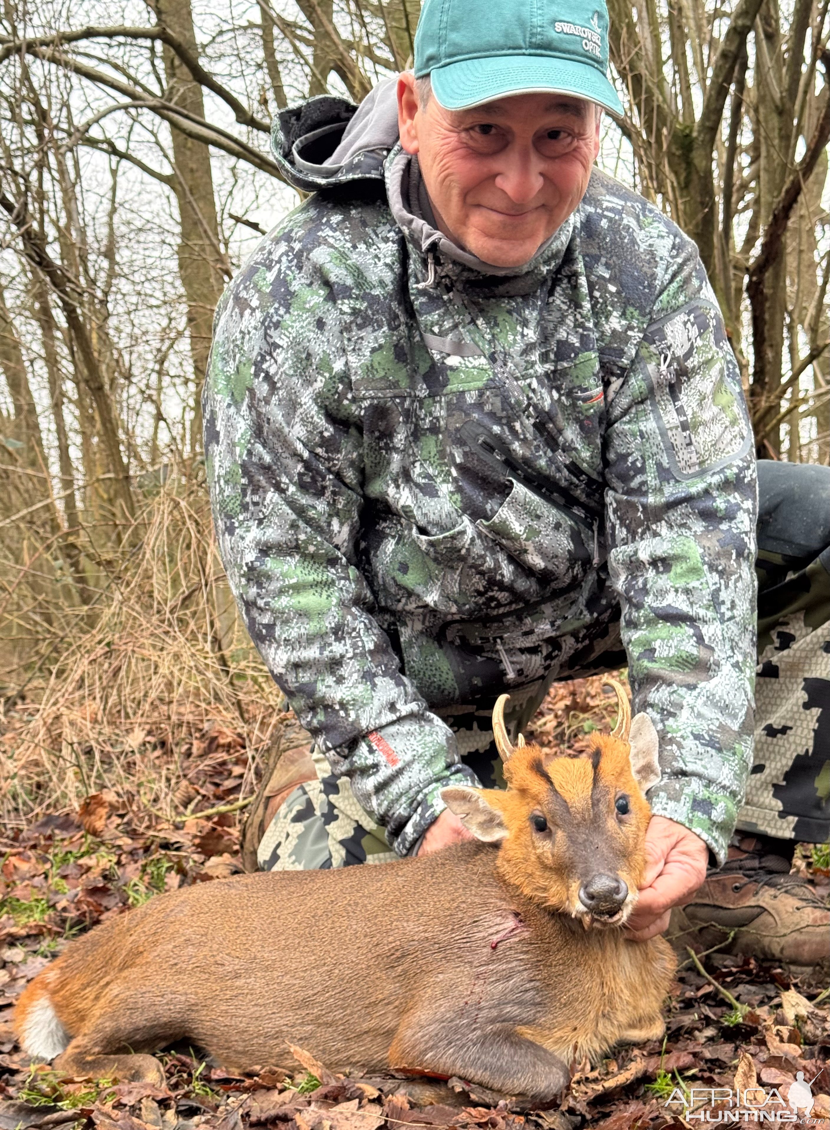 Muntjac Hunt United Kingdom