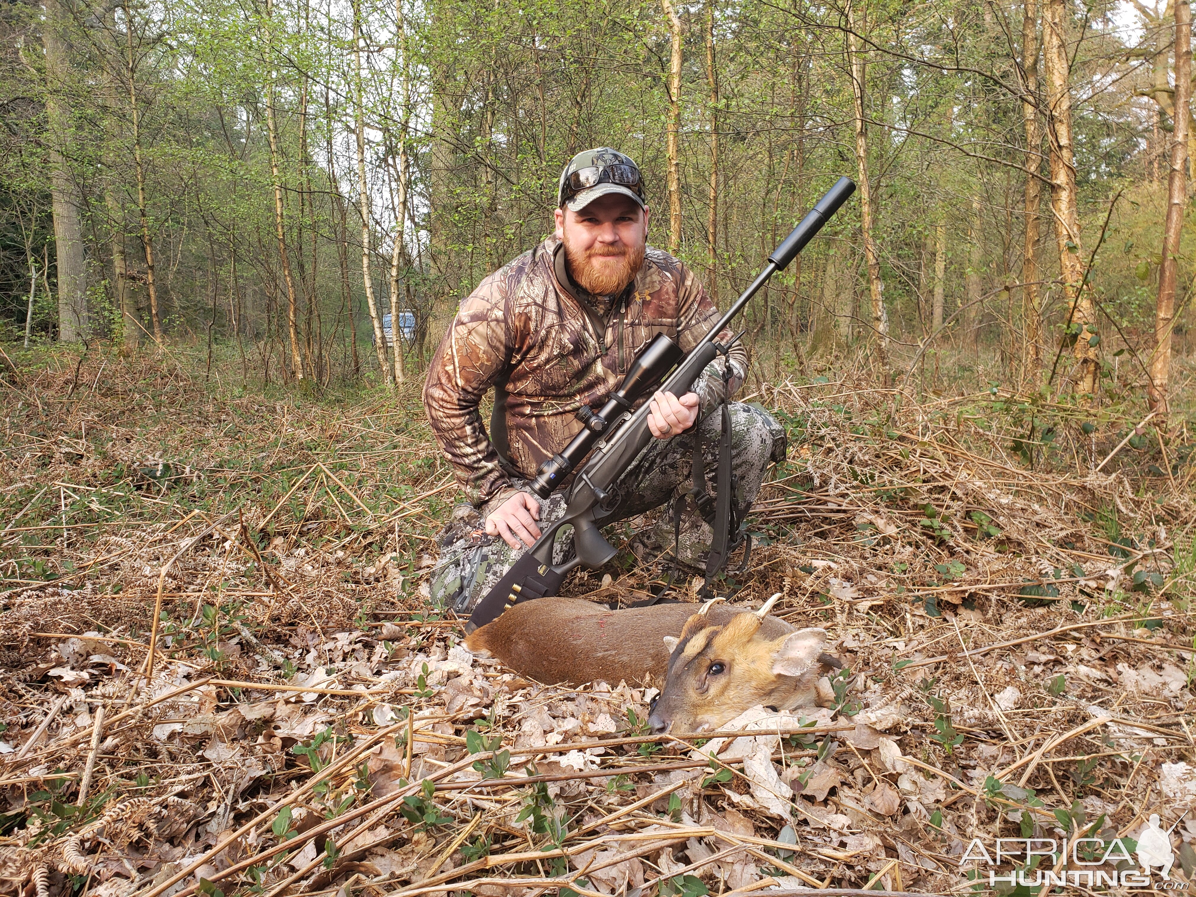 Muntjac Hunting England