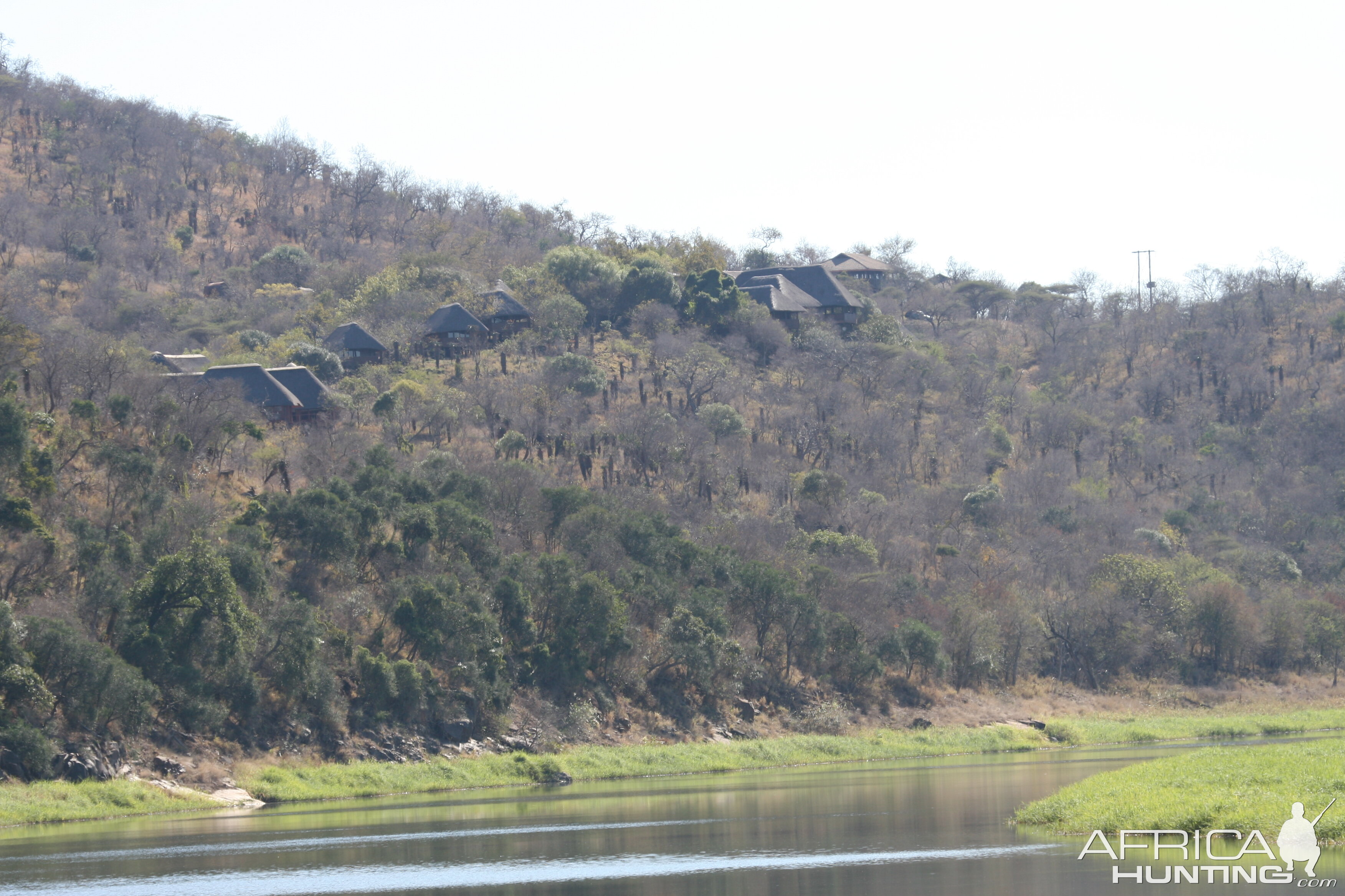 Mvubu from the river