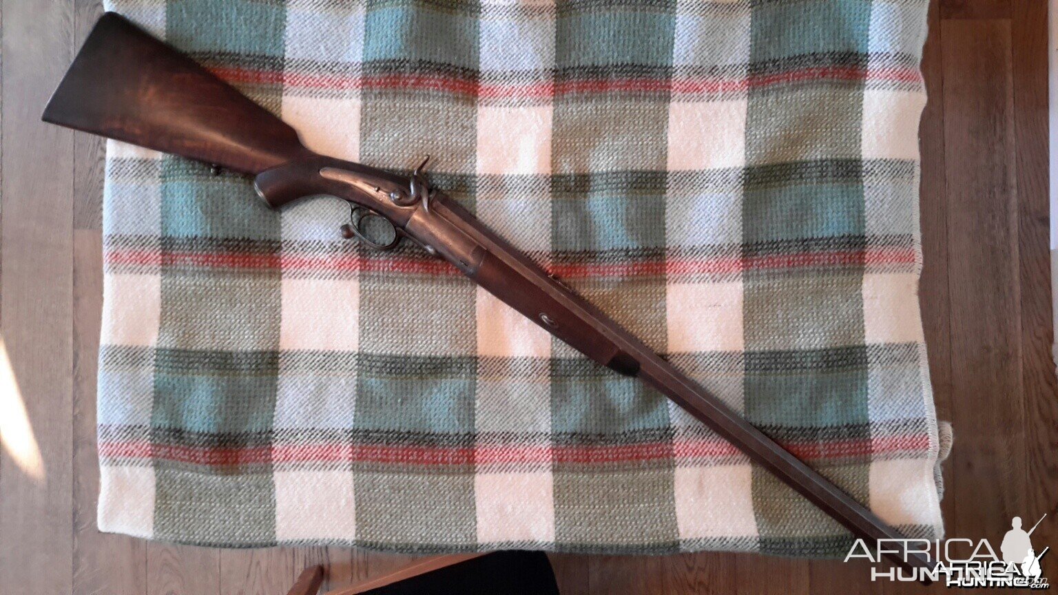 My 10 bore rifle