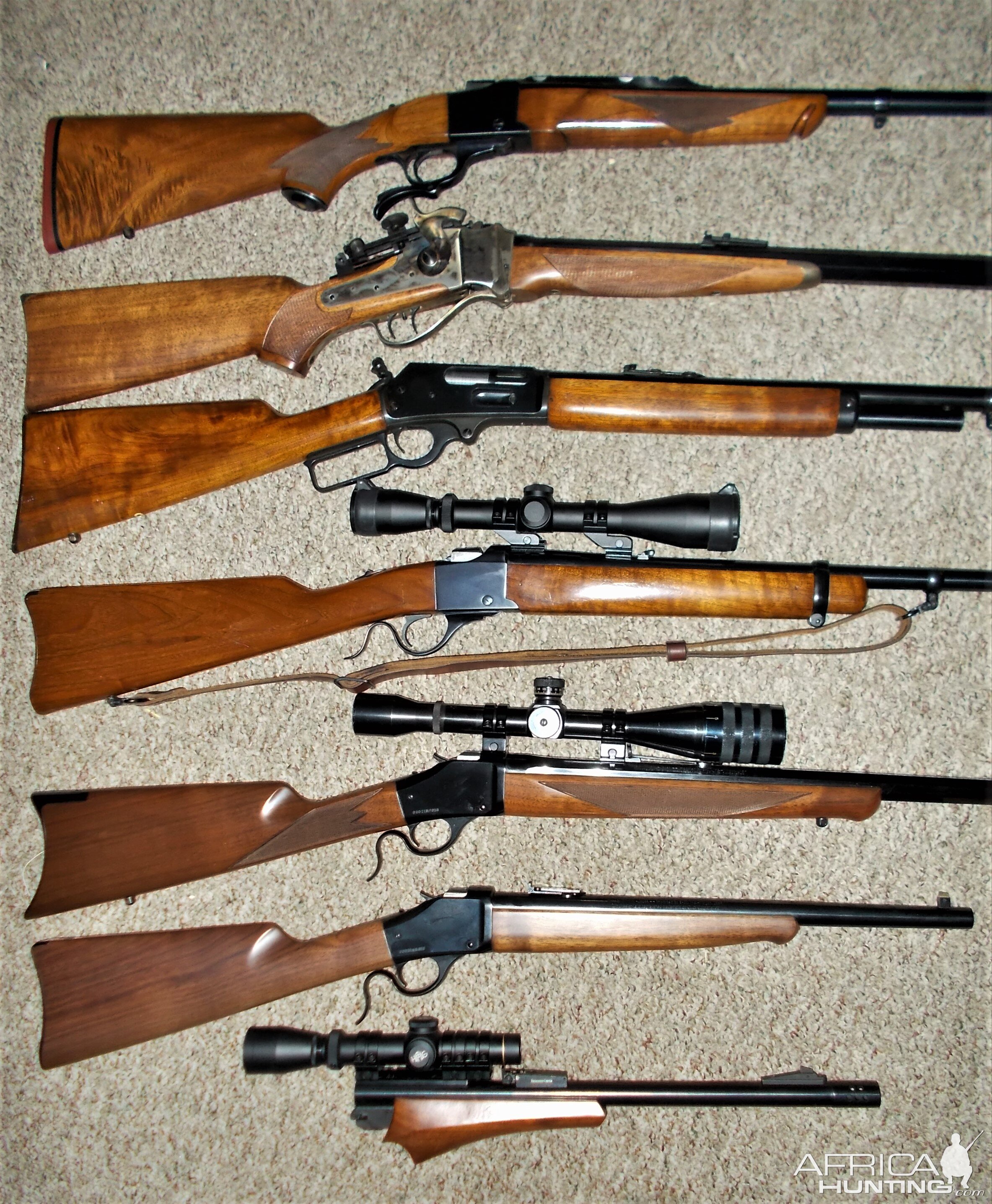 My 45-70 Rifles