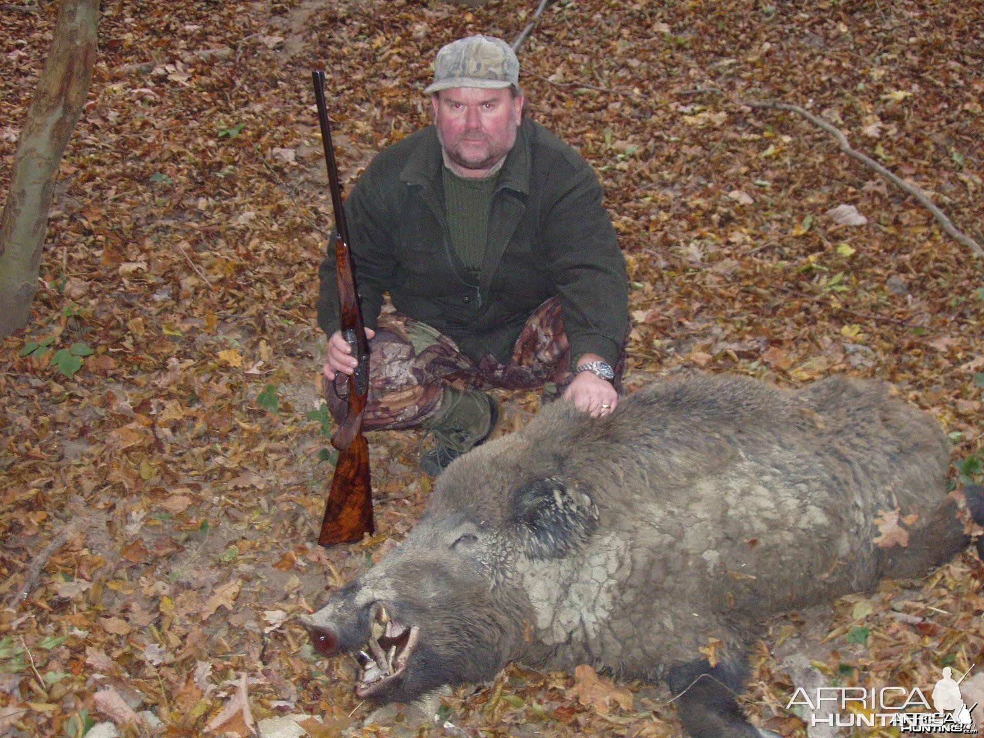 my 9.3x74r jefferys double rifle and a hungarian boar