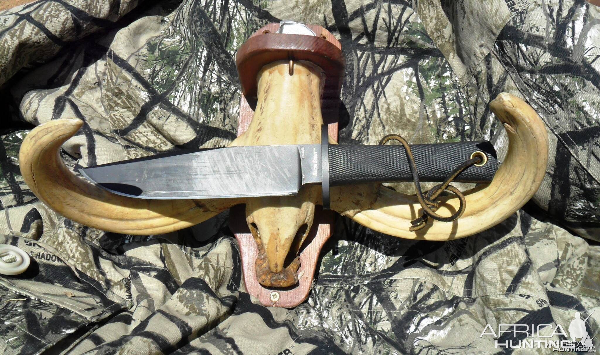 My +_ 15'  "trophy" warthog tusks with 7' blade for comparison