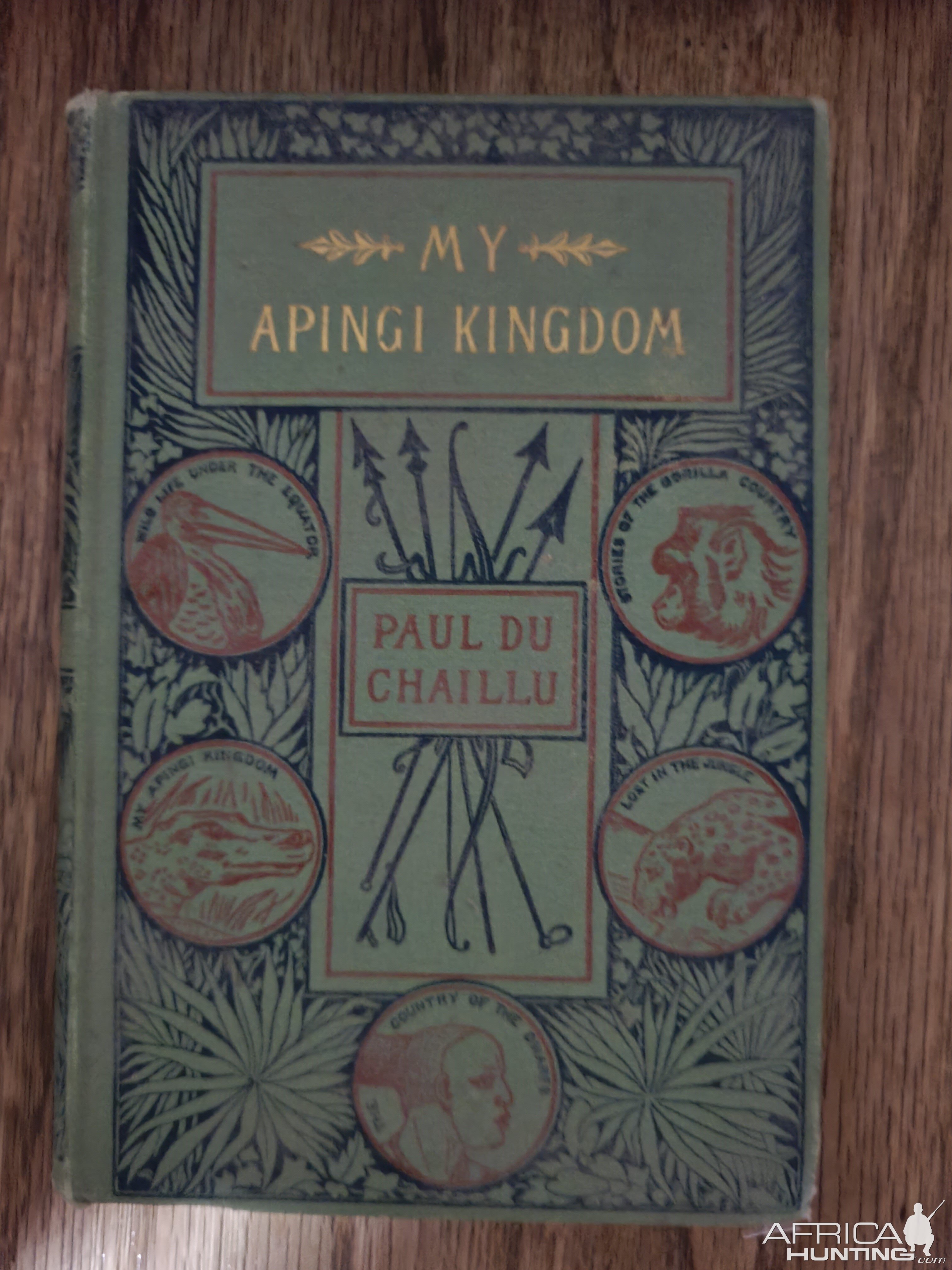 My Apingi Kingdom Book