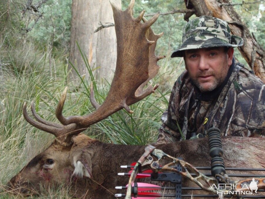 My best fallow deer to date with a bow