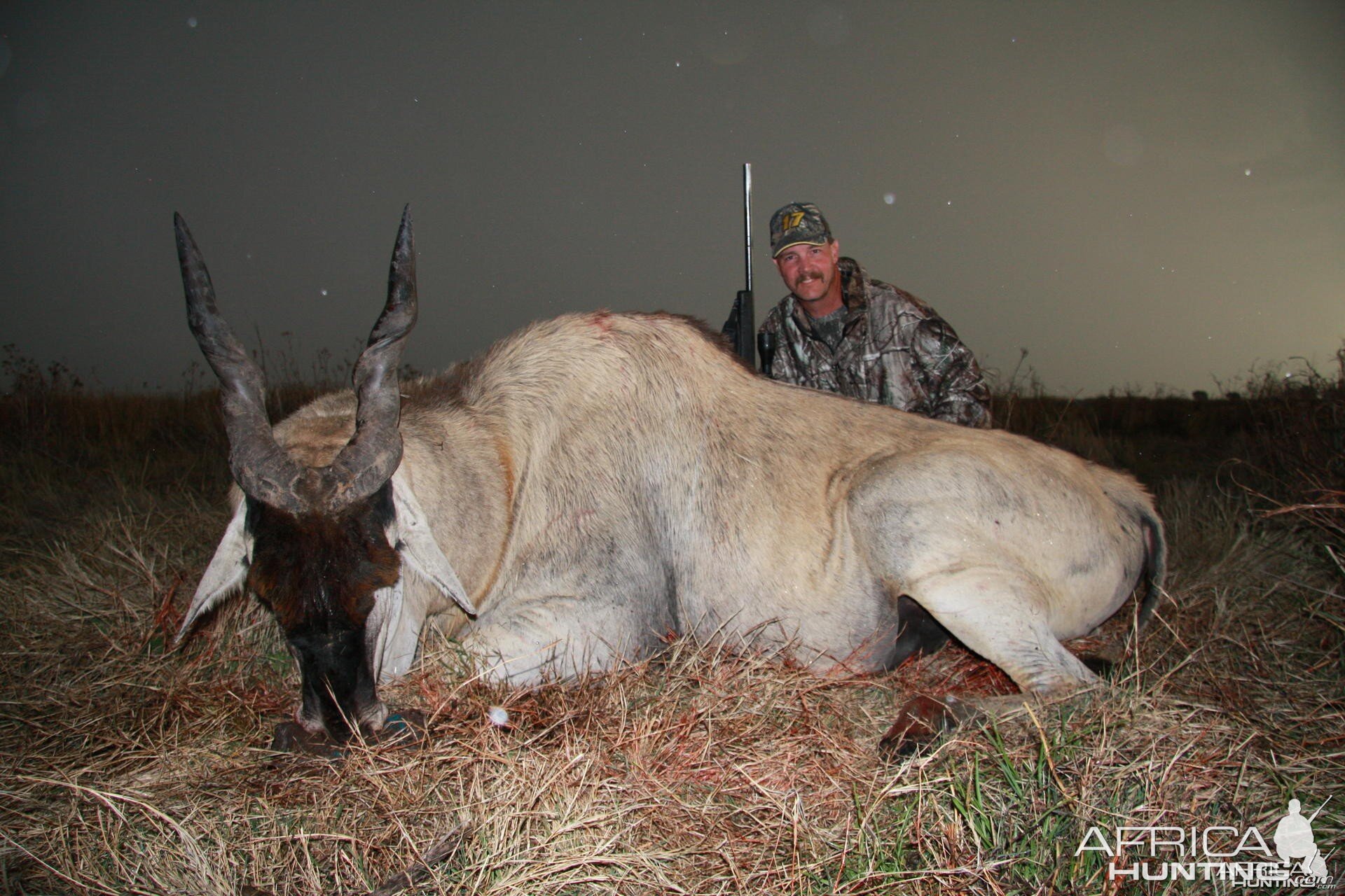 My Eland... once again in the rain... South Africa